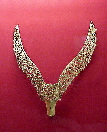 Madarszimblum Korebl