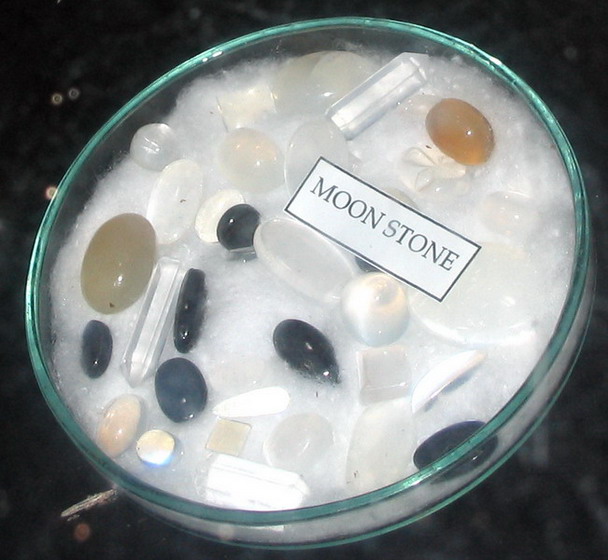 A holdkvek hazja: Sri Lanka