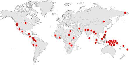 Nyelvek si- kezdettel